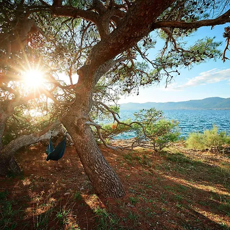 Sun Hills 8 * Split