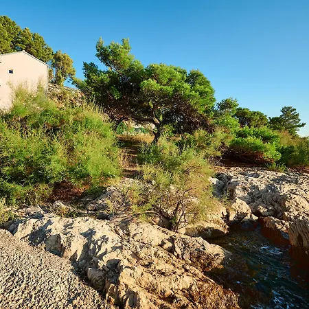 Sun Hills 8 * Split
